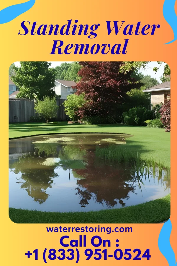 Standing Water Removal in Garrett, IL